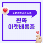 여자 왼쪽 아랫배 통증 증상 원인 관리 방법 진료 정보 총정리 (아랫배 콕콕)
