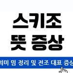 스키조 뜻 의미 밈 정리 및 전조 대표 증상까지