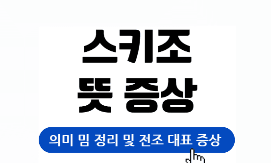 스키조 뜻 의미 밈 정리 및 전조 대표 증상까지